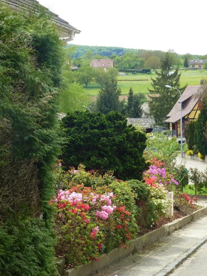 La Pomme De Pin Hotel Raedersdorf Екстериор снимка