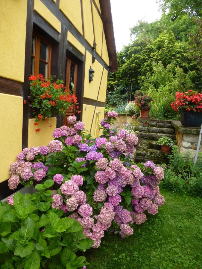 La Pomme De Pin Hotel Raedersdorf Екстериор снимка