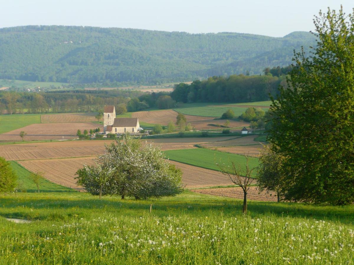 La Pomme De Pin Hotel Raedersdorf Екстериор снимка