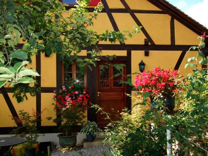 La Pomme De Pin Hotel Raedersdorf Екстериор снимка