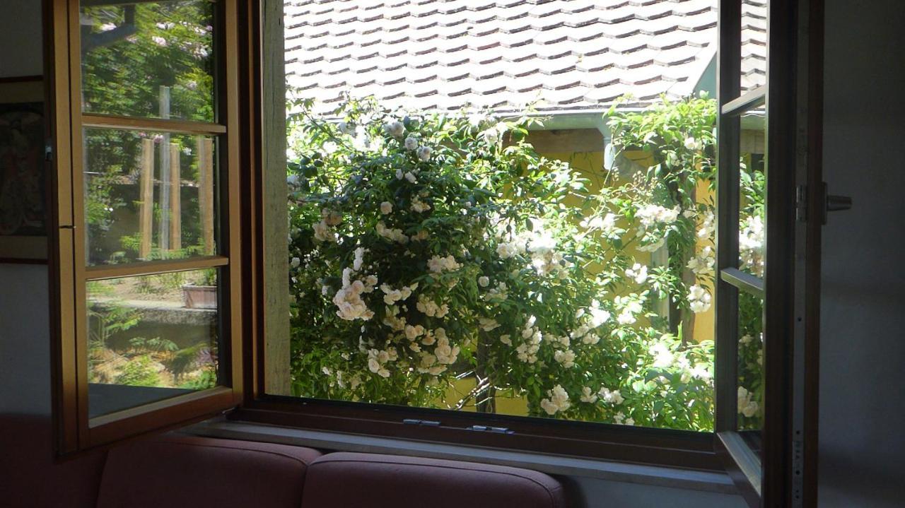 La Pomme De Pin Hotel Raedersdorf Екстериор снимка